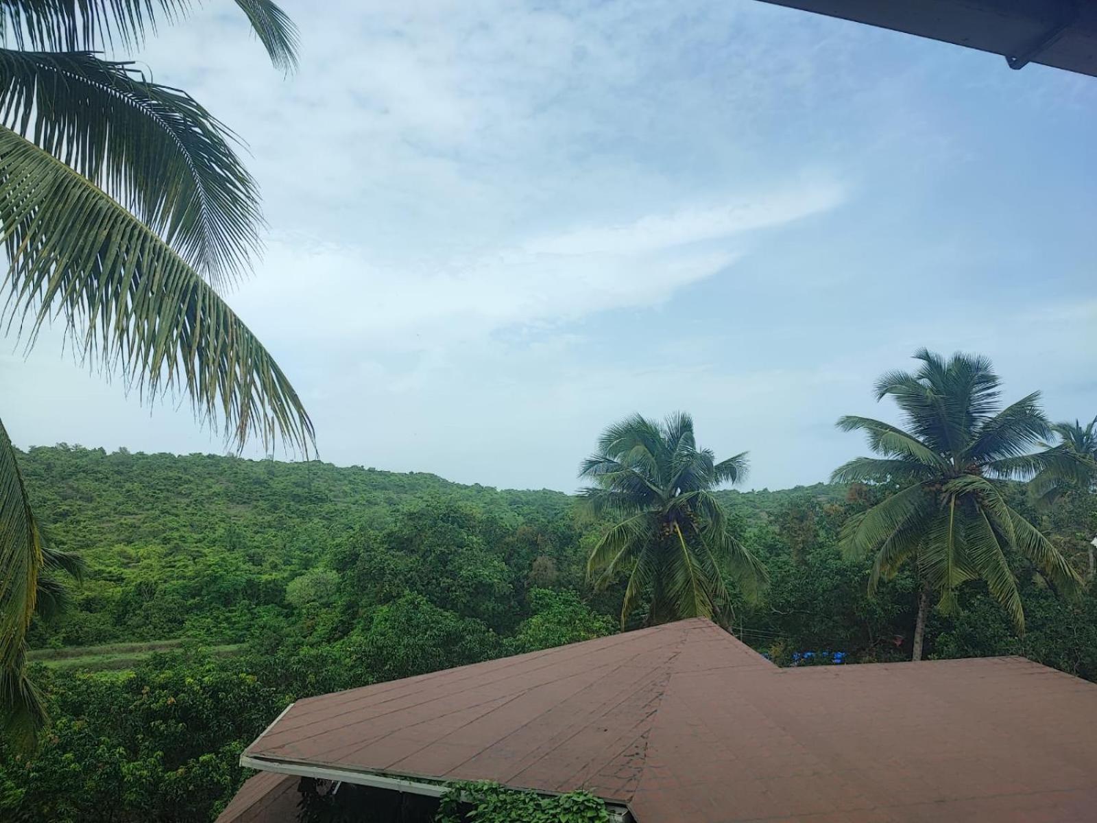 The Verda De Miranda Resort Morjim North Goa Eksteriør billede